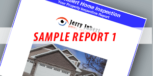 sample-report-1